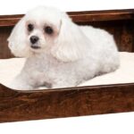 Springville Small Pet Lounge