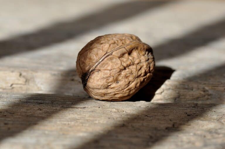 walnut furniture