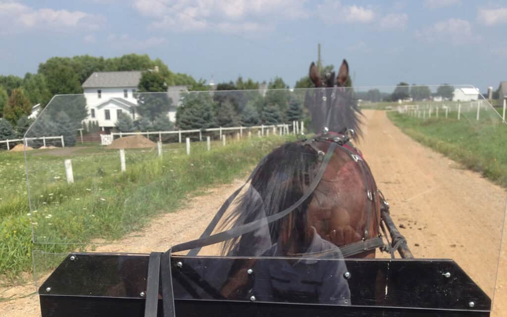Horse and Buggy Shipshewana Indiana