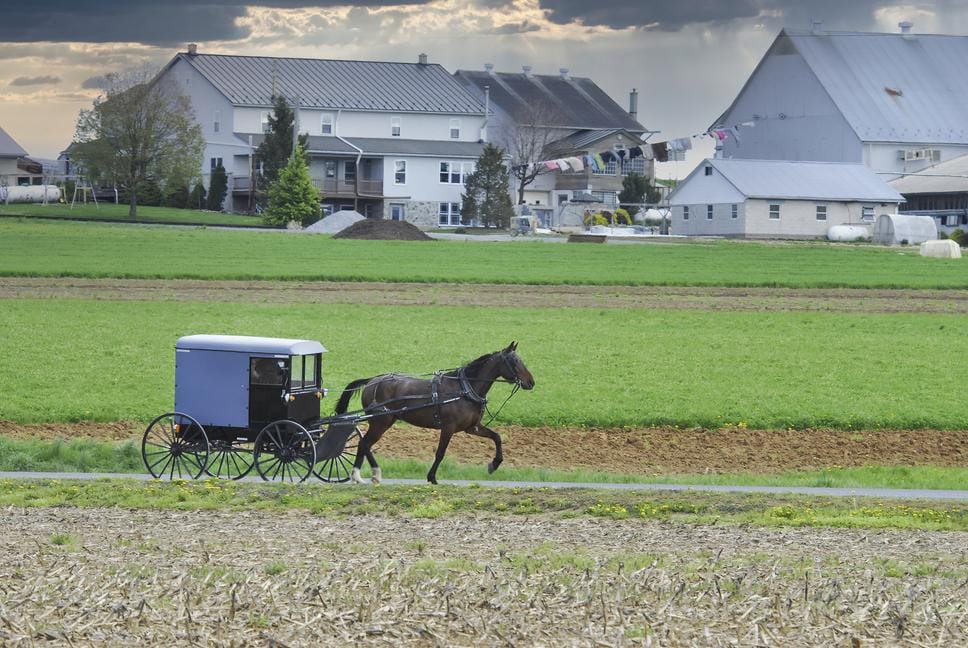 Amish Horse and Buggy Traveling Along a Countryside Road